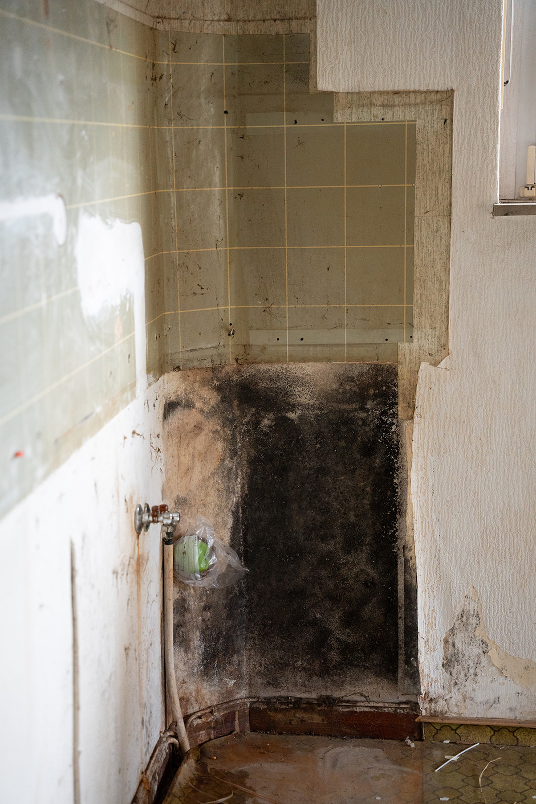 Messie Entrümpelung Haushaltsauflösung Sanierung