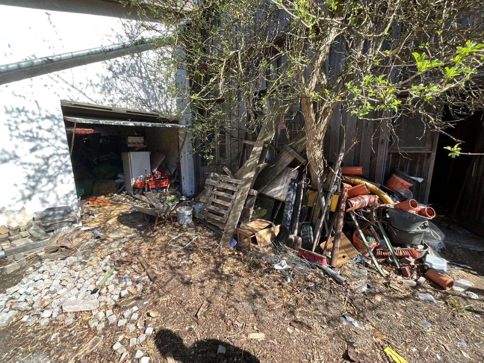 Entrümpelung in Frankfurt Messie Räumung