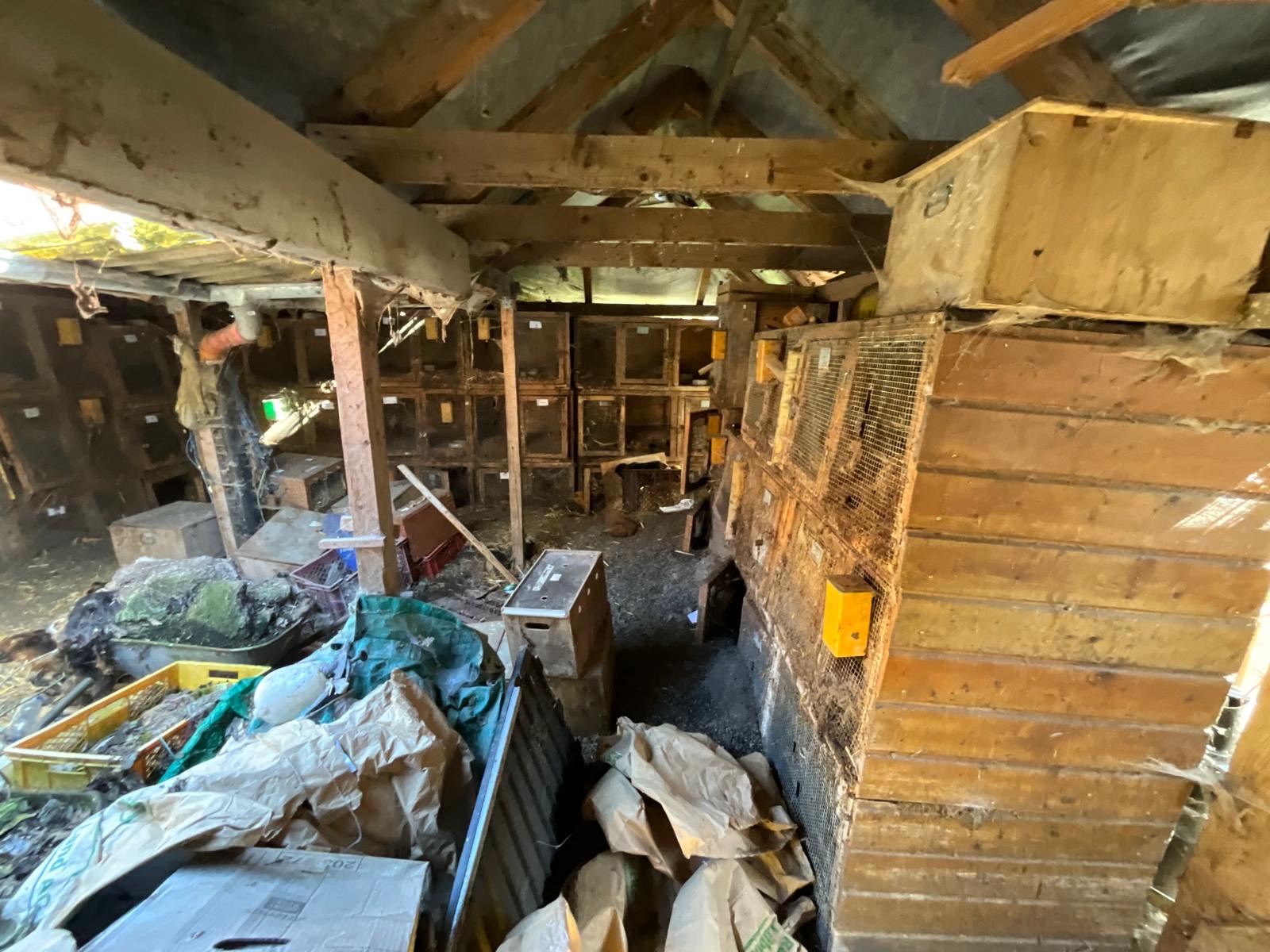 Räumung Frankfurt Messie Entrümpelung